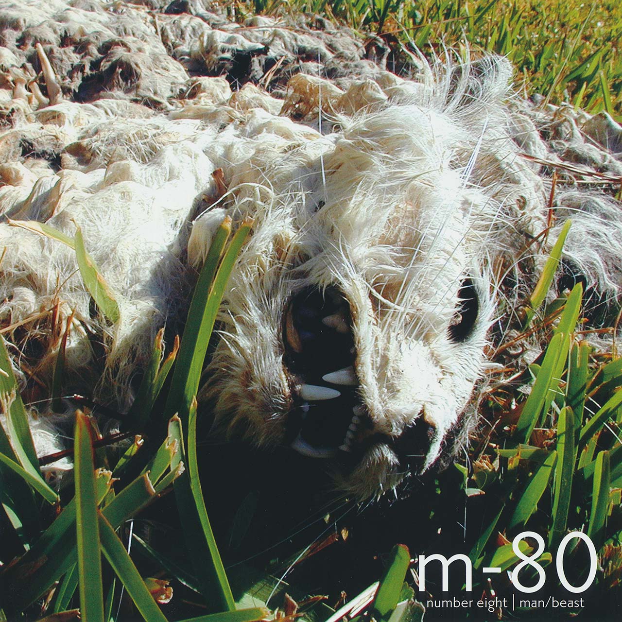 Thumbnail image for m-80 | No. 8